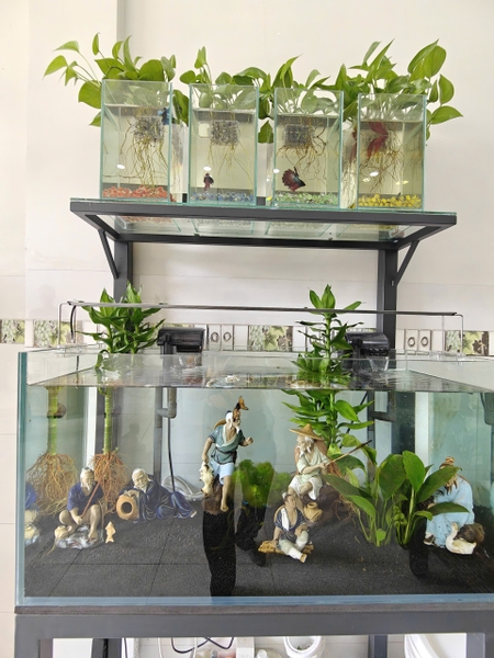 🏠 Bán Nhà Đẹp 1 Trệt 2 Lầu Thục Phán - View Công Viên Siêu Đẹp!