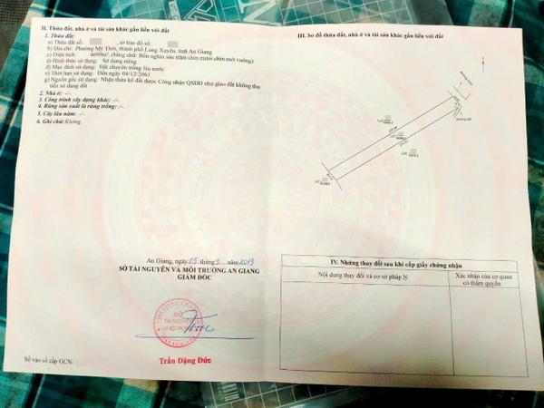 🔰 Bán 5 Công Đất Ruộng Lớn Đường Tây An Bờ Hồ, Mỹ Thới - Giá Rẻ!