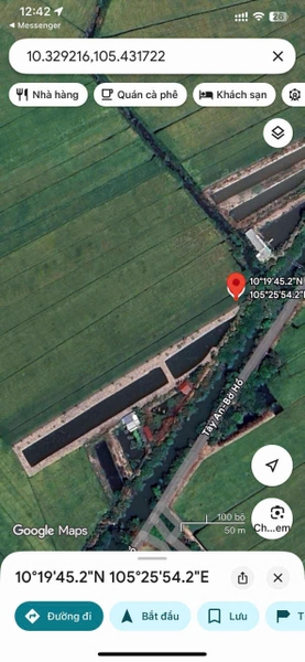 🔰 Bán 5 Công Đất Ruộng Lớn Đường Tây An Bờ Hồ, Mỹ Thới - Giá Rẻ!