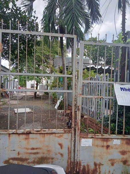 🔰 Bán Đất Full Thổ Cư - Đón Đầu Mặt Tiền Lạc Long Quân Tương Lai