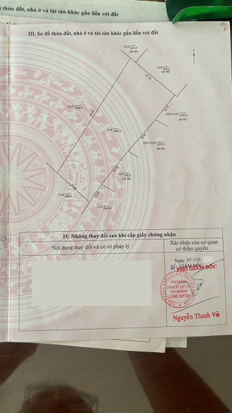 🔰 Bán Lô Đất Vườn Trần Cảnh Nối Dài, Mỹ Hòa - Đã San Lấp Cao Ráo!