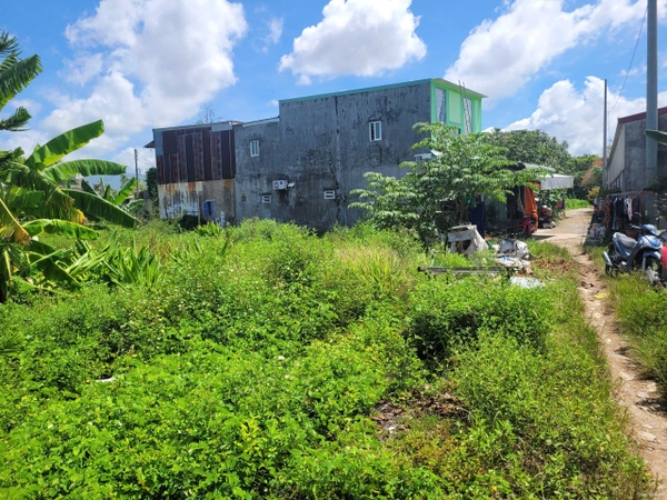 🔰 Bán Lô Đất Vườn Trần Cảnh Nối Dài, Mỹ Hòa - Đã San Lấp Cao Ráo!