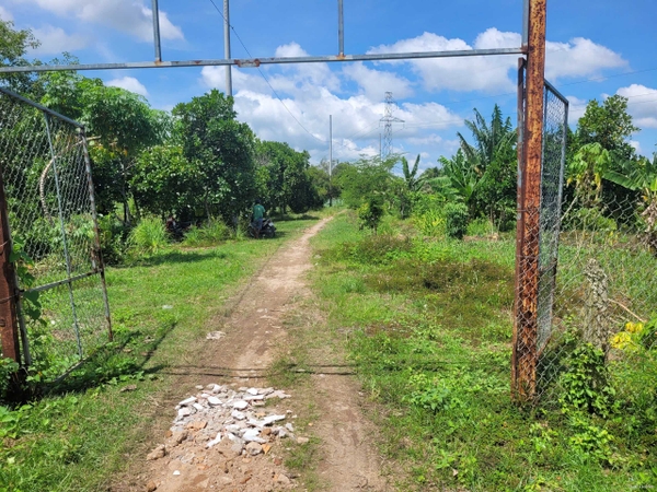 🔰 Bán Lô Đất Vườn Trần Cảnh Nối Dài, Mỹ Hòa - Đã San Lấp Cao Ráo!