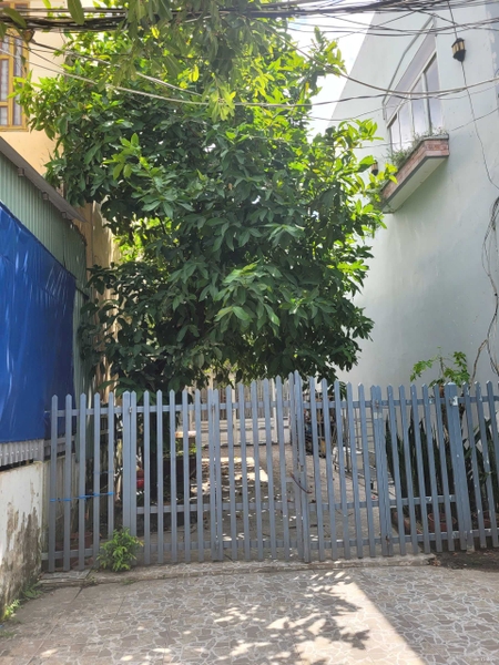 🏠 Bán Khu Nhà Trọ Ổn Định Dòng Tiền Hẻm Rạch Cái Sơn, Mỹ Phước - Gần Cầu Đúc!