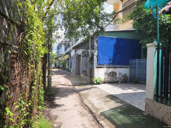 🏠 Bán Khu Nhà Trọ Ổn Định Dòng Tiền Hẻm Rạch Cái Sơn, Mỹ Phước - Gần Cầu Đúc!