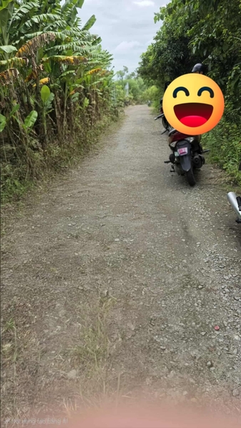 🔰 Bán Đất Làm Vườn Lộ Ô Tô - Khu Đức Thành 4, Mỹ Thới!