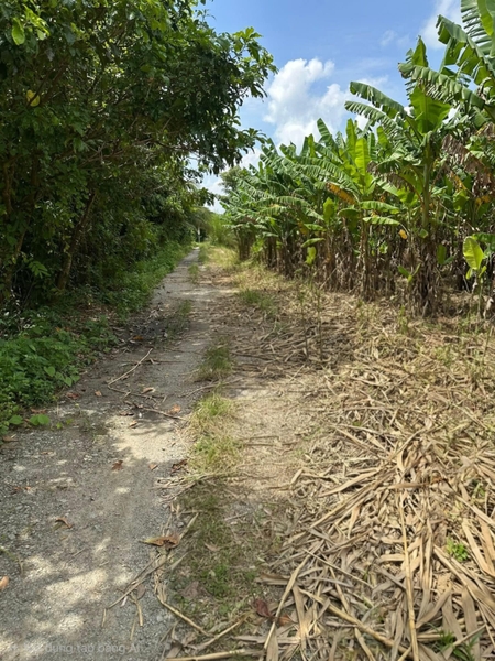 🔰 Bán Đất Làm Vườn Lộ Ô Tô - Khu Đức Thành 4, Mỹ Thới!