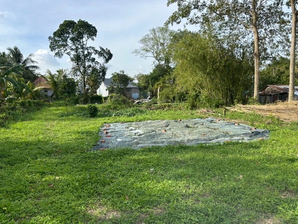 🏠 Bán hơn 3 công đất đã lên vườn - Mặt Tiền Rạch Cái Sao, Gần KCN Vàm Cống!