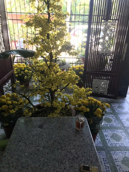 🏠 Bán Nhà 1 Trệt 1 Lầu Ba Bần - Vĩnh Trạch, Thoại Sơn - Kế Trường Cấp 3!