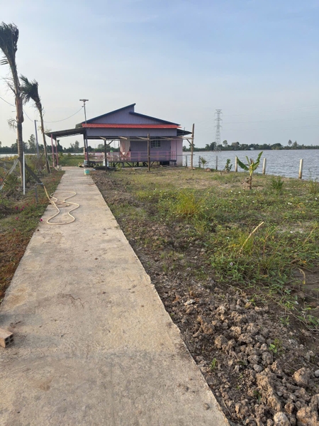 🔰 Bán Đất Đã Lên Vườn Mặt Tiền Tây An Bờ Hồ, Mỹ Thới  📐 Diện tích: 3100 m² (3.1 công) - Đất NN, mặt tiền rộng 19m.