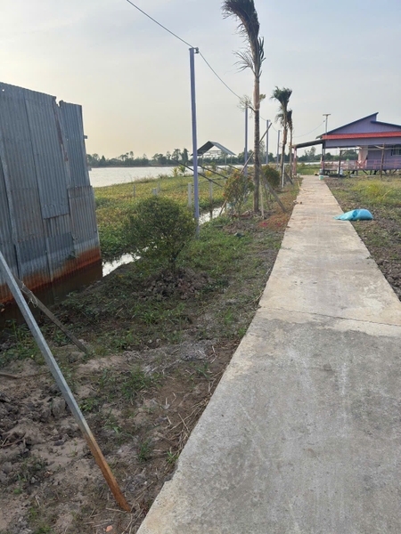 🔰 Bán Đất Đã Lên Vườn Mặt Tiền Tây An Bờ Hồ, Mỹ Thới  📐 Diện tích: 3100 m² (3.1 công) - Đất NN, mặt tiền rộng 19m.