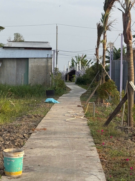 🔰 Bán Đất Đã Lên Vườn Mặt Tiền Tây An Bờ Hồ, Mỹ Thới  📐 Diện tích: 3100 m² (3.1 công) - Đất NN, mặt tiền rộng 19m.