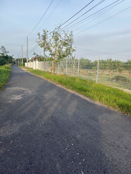 🔰 Bán Đất Đã Lên Vườn Mặt Tiền Tây An Bờ Hồ, Mỹ Thới  📐 Diện tích: 3100 m² (3.1 công) - Đất NN, mặt tiền rộng 19m.