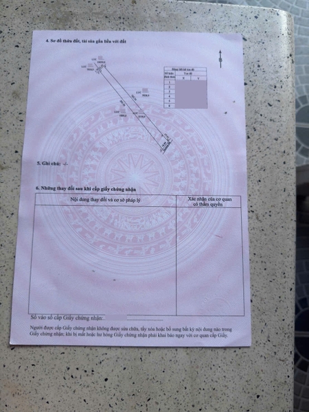🔰 Bán Đất Đã Lên Vườn Mặt Tiền Tây An Bờ Hồ, Mỹ Thới  📐 Diện tích: 3100 m² (3.1 công) - Đất NN, mặt tiền rộng 19m.