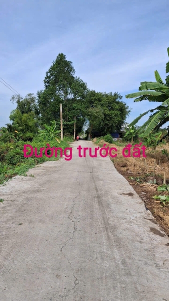 🔰 Bán 7 Công Đất Kênh Đức Thành, Mỹ Thới - Gần Tuyến Tránh!