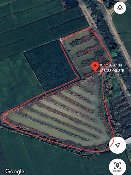 🔰 Bán11 công Đất Ruộng An Châu, Châu Thành - Lộ Ô Tô, Giá Hấp Dẫn!