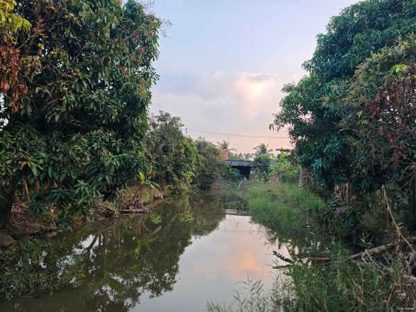 🔰 BÁN 1.653m² ĐẤT MẶT TIỀN RẠCH MƯƠNG THƠM, MỸ THẠNH – VIEW KÊNH THOÁNG MÁT, CÓ SẴN THỔ CƯ