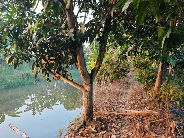 🔰 BÁN 1.653m² ĐẤT MẶT TIỀN RẠCH MƯƠNG THƠM, MỸ THẠNH – VIEW KÊNH THOÁNG MÁT, CÓ SẴN THỔ CƯ