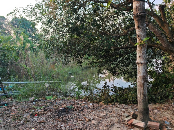 🔰 BÁN 1.653m² ĐẤT MẶT TIỀN RẠCH MƯƠNG THƠM, MỸ THẠNH – VIEW KÊNH THOÁNG MÁT, CÓ SẴN THỔ CƯ