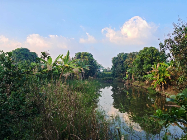 🔰 BÁN 1.653m² ĐẤT MẶT TIỀN RẠCH MƯƠNG THƠM, MỸ THẠNH – VIEW KÊNH THOÁNG MÁT, CÓ SẴN THỔ CƯ