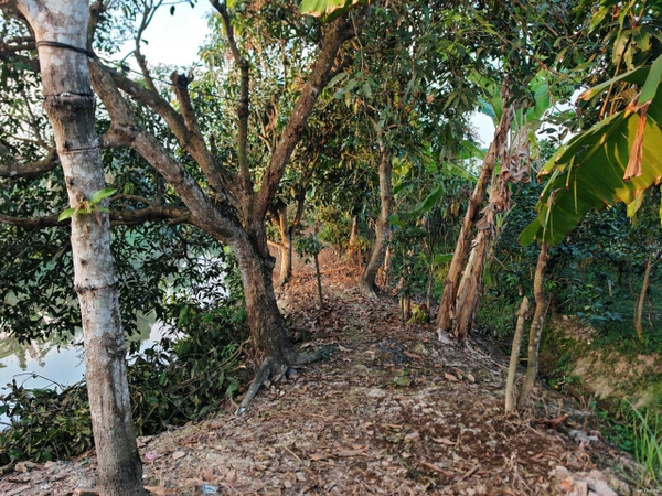 🔰 BÁN 1.653m² ĐẤT MẶT TIỀN RẠCH MƯƠNG THƠM, MỸ THẠNH – VIEW KÊNH THOÁNG MÁT, CÓ SẴN THỔ CƯ