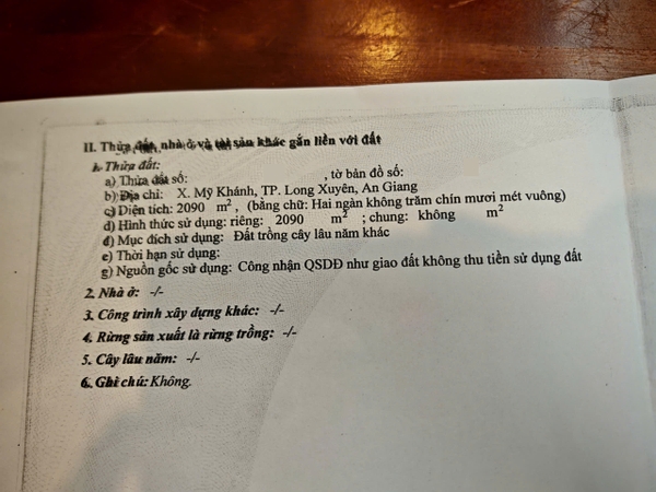 🌳 BÁN 2.090m² ĐẤT CÂY LÂU NĂM – SAU LƯNG ĐƯỜNG TRÁNH LONG XUYÊN, MỸ KHÁNH