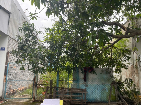 🔰 BÁN NỀN 90m² MẶT TIỀN NGUYỄN THƯỢNG KHÁCH – KDC XẺO TRÔM, MỸ PHƯỚC – GIÁ TỐT ĐẦU TƯ