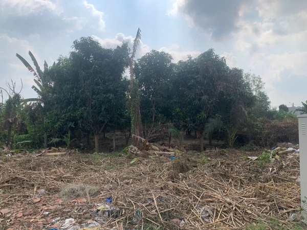 🚚 CHO THUÊ ĐẤT 445m² – MẶT TIỀN LÊ TRỌNG TẤN, KDC TIẾN ĐẠT – CHỈ 12TR/THÁNG!