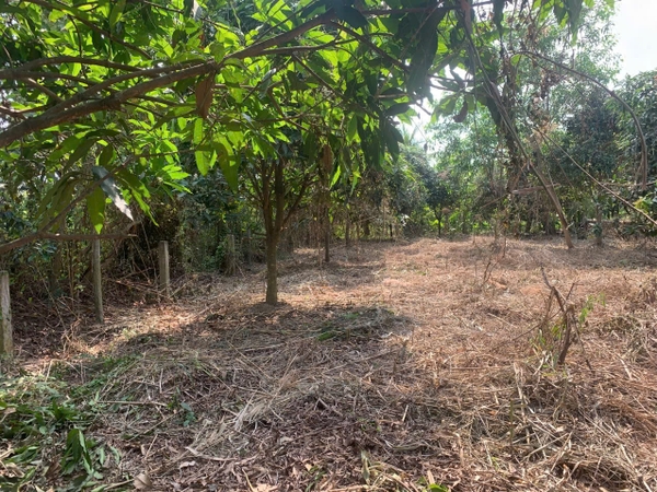 🚚 CHO THUÊ ĐẤT 445m² – MẶT TIỀN LÊ TRỌNG TẤN, KDC TIẾN ĐẠT – CHỈ 12TR/THÁNG!