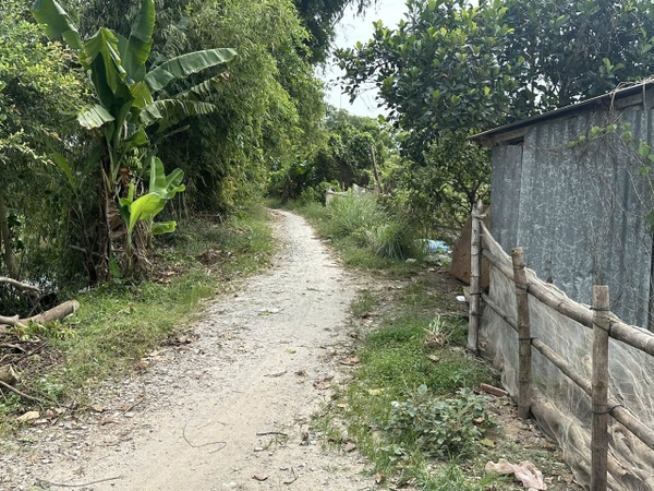 🌳 BÁN 2.843m² ĐẤT VƯỜN RỘNG RÃI – PHƯỜNG MỸ THỚI (GẦN TUYẾN TRÁNH