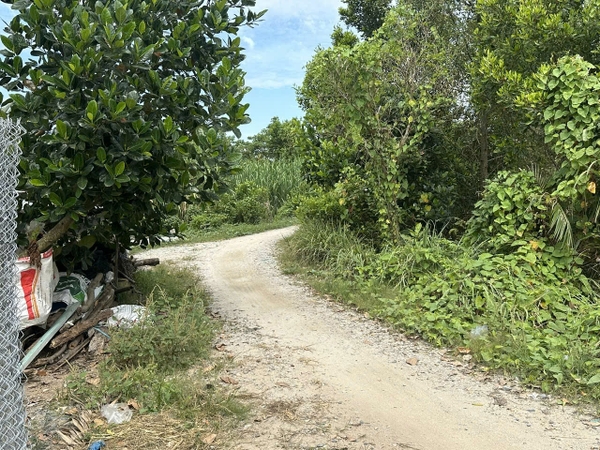 🌳 BÁN 2.843m² ĐẤT VƯỜN RỘNG RÃI – PHƯỜNG MỸ THỚI (GẦN TUYẾN TRÁNH