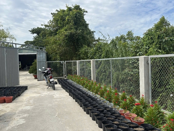 🌳 BÁN 2.843m² ĐẤT VƯỜN RỘNG RÃI – PHƯỜNG MỸ THỚI (GẦN TUYẾN TRÁNH