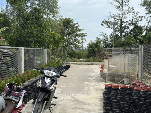 🌳 BÁN 2.843m² ĐẤT VƯỜN RỘNG RÃI – PHƯỜNG MỸ THỚI (GẦN TUYẾN TRÁNH