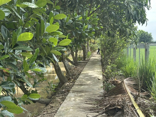 🌳 BÁN 2.843m² ĐẤT VƯỜN RỘNG RÃI – PHƯỜNG MỸ THỚI (GẦN TUYẾN TRÁNH