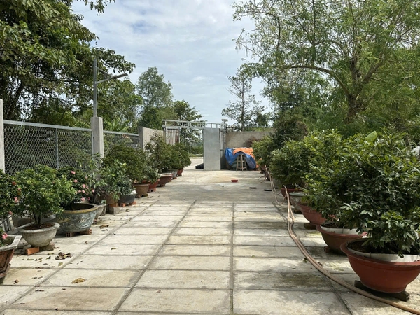 🌳 BÁN 2.843m² ĐẤT VƯỜN RỘNG RÃI – PHƯỜNG MỸ THỚI (GẦN TUYẾN TRÁNH