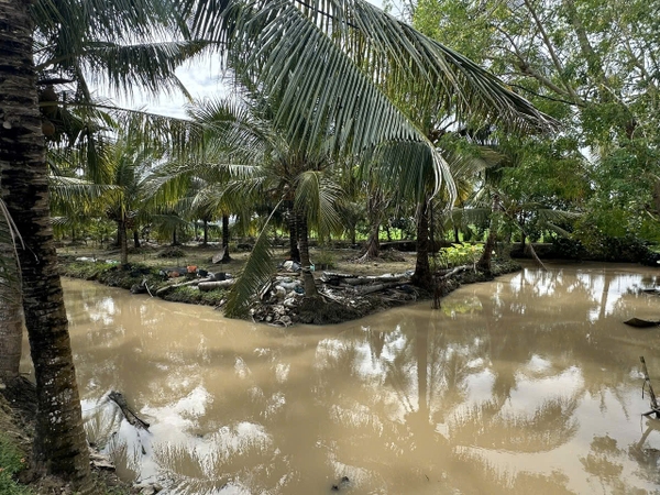 🌳 BÁN 2.843m² ĐẤT VƯỜN RỘNG RÃI – PHƯỜNG MỸ THỚI (GẦN TUYẾN TRÁNH