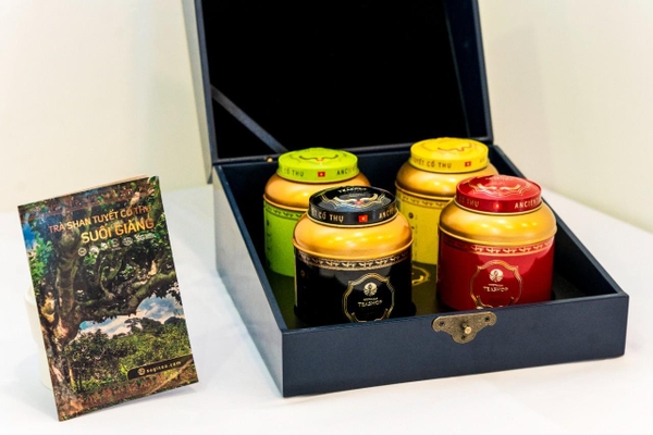 Trà Shan tuyết cổ thụ tại Việt Nam