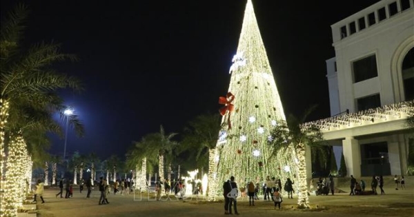 10 Địa Điểm Chụp Ảnh Giáng Sinh Đang Hot Tại Ninh Bình 2025