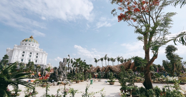 Địa Điểm Vui Chơi Ninh Bình – Chơi Tẹt Ga, Không Lo Chán