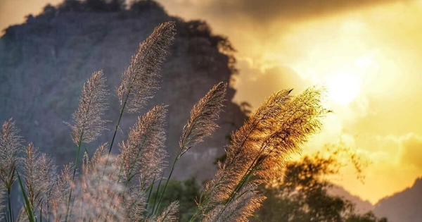 Thung Lau – Góc Xanh Bình Yên Giữa Lòng Ninh Bình