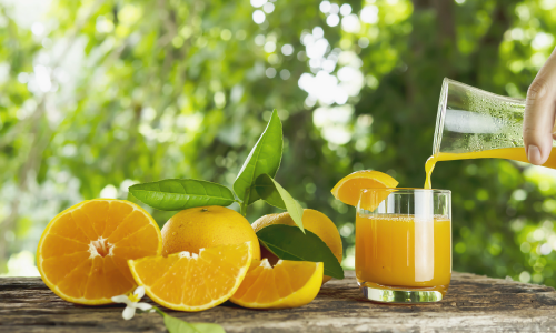 비타민 C의 역할