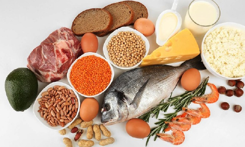 단백질 섭취는 왜 그렇게 중요할까