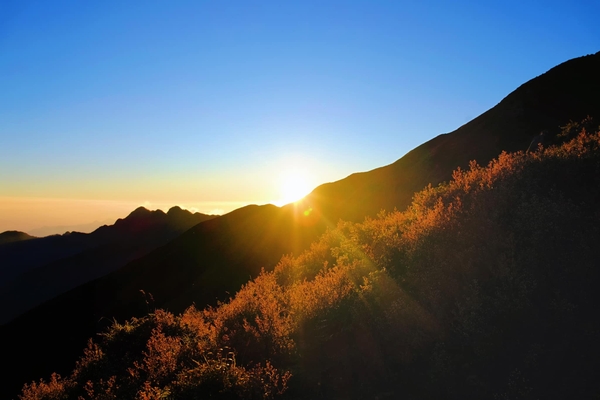 Chìm đắm trong sắc tím của mùa hoa chi pâu trên đỉnh Tà Chì Nhù