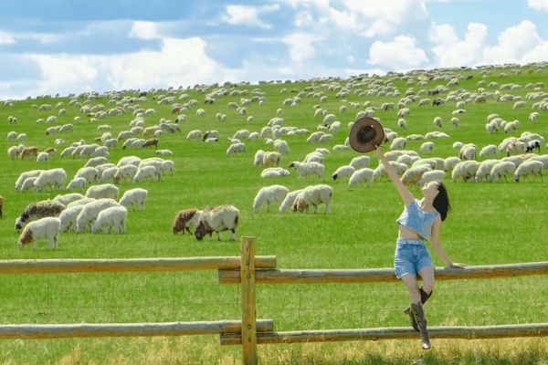 Khí hậu Nội Mông - Gợi ý thời điểm du lịch lý tưởng