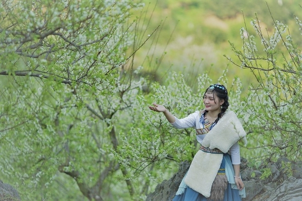 Review Du Lịch Mộc Châu Tự Túc 2023 | Những Điều Nên Biết