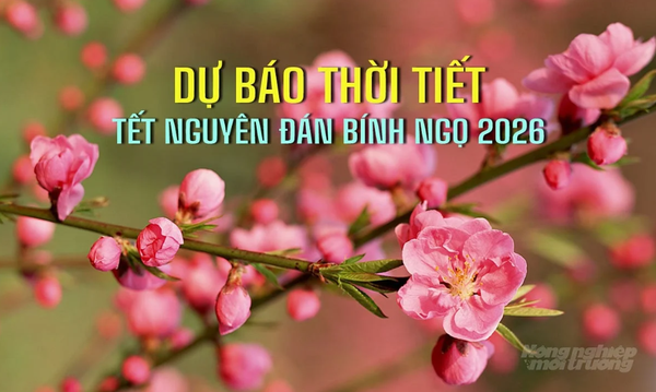 Thông tin mới nhất về thời tiết Tết Nguyên đán trên cả nước: Liệu còn cảnh rét cắt da cắt thịt?