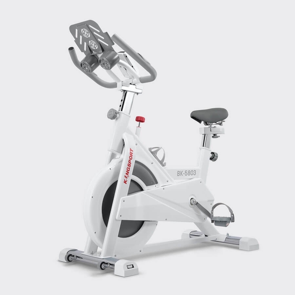 XE ĐẠP TẬP KINGSPORT BK-5803