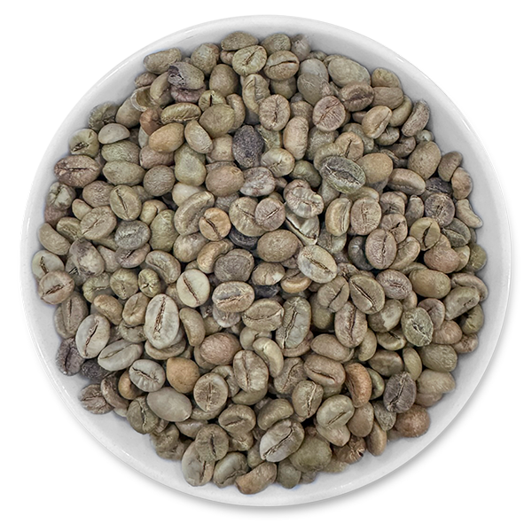 ROBUSTA COFFEE GRADE 1, SCREEN 16 CLEANED