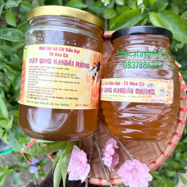 Mật Ong Khoái Rừng 1Lít (1,3Kg)