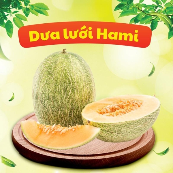 Tất tần tật thông tin về dưa lưới Hami